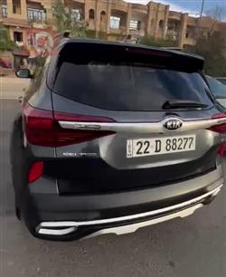 کیا سێلتۆس
